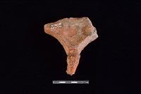 連杯形器藏品圖，第2張